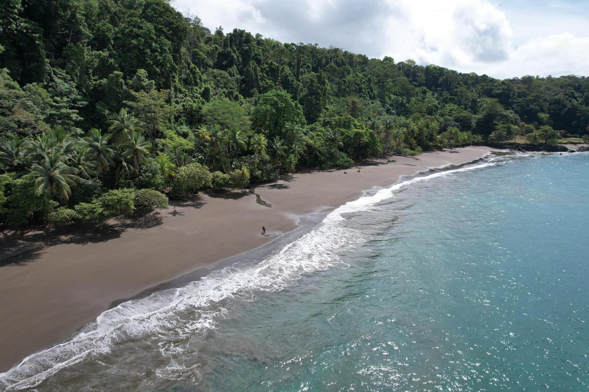 Corcovado Wilderness Lodge By Scp San Pedrillo Exterior foto