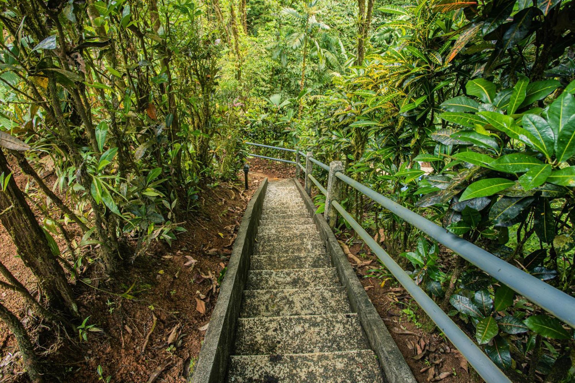 Corcovado Wilderness Lodge By Scp San Pedrillo Exterior foto