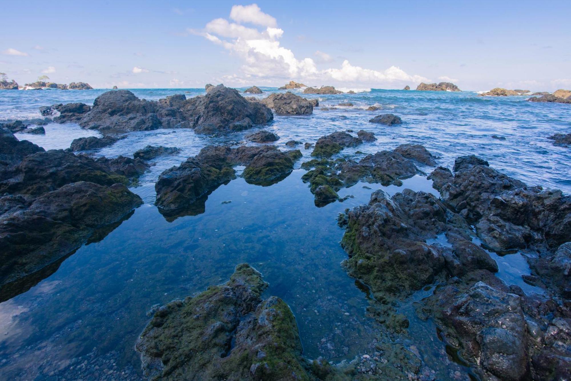 Corcovado Wilderness Lodge By Scp San Pedrillo Exterior foto